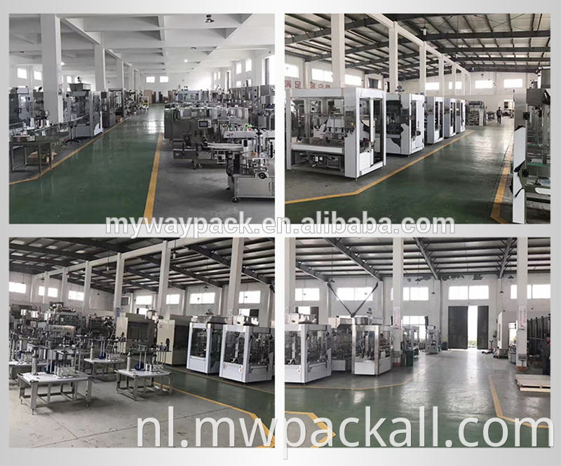 Hot Sale Factory Direct automatische sapvulling- en afdichtingsmachine Machines Liquid 6 Head